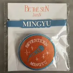 SEVENTEEN MINGYU ワッペンバッジデコリング