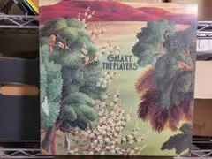 ザ・プレイヤーズ / ギャラクシー（LP）鈴木宏昌和ジャズ和モノ和物