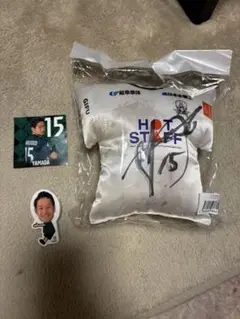 FC 岐阜　山田直輝　直筆サイン入りミニクッション