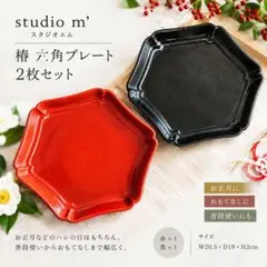 studio m' 椿 六角プレート 赤 黒 2枚セット スタジオエム