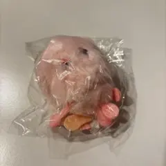 西垣匠 ぬいぐるみ