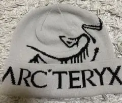 美品 arc'teryx beanie y2k 恐竜 ニット帽 arc - メルカリ