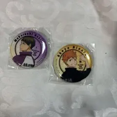 ハイキュー 牛島若利 日向翔陽 缶バッジ 振り向き シャイニー