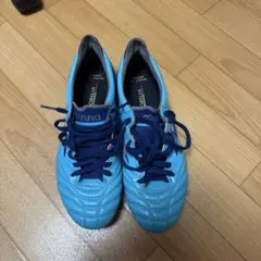 Mizuno 青 モレリアネオ2