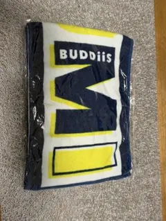 Item thumbnail for item 2c4cbbae-faee-472f-ac6d-ae3a45bd5636