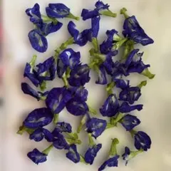 チェリー様 リクエスト 2点 まとめ商品