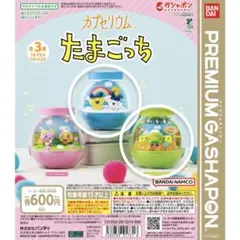 カプセリウム　たまごっち　まめっち&みみっち　くちぱっち&ちびぱっちセット