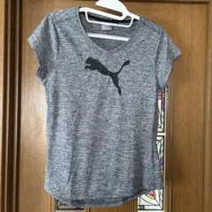 PUMA グレー Vネック Tシャツ