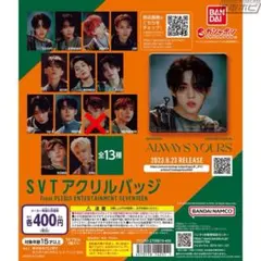 SEVENTEEN セブチ 缶バッジ、アクスタ グッズまとめ売り - メルカリ