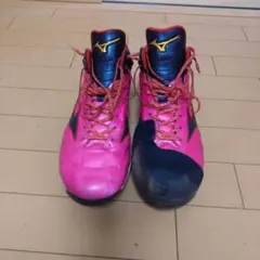 NPBマザーズデイミズノプロアンバサダー選手支給品クッションレボプロMIDTPU