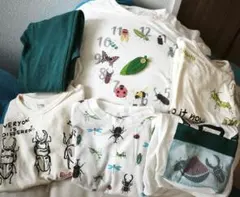インセクトコレクション　L120 130 キッズ　虫　カマキリ先生　綿　Tシャツのサムネイル