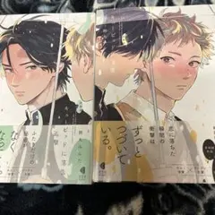 blコミック新装版 キューピッドに落雷  追撃