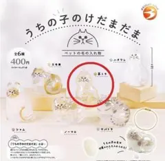 うちの子のけだまだま　【茶トラ】カプセルトイ版♢①