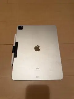 iPad Pro 12.9インチ 256GB Apple pencil 2セット