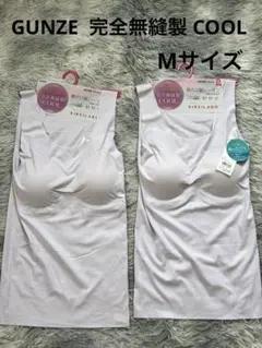 GUNZE KIREILABO 完全無縫製 クール 軽のび綿レーヨンM 2枚のサムネイル