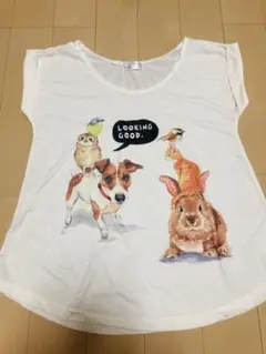 アニマルTシャツ