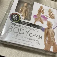 DX SETボディちゃん [Pale orange Color Ver.]