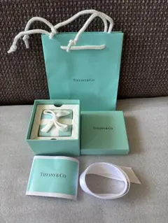 Tiffany & Co. シルバーリーフ小物入れ - メルカリ