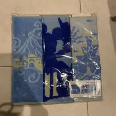 ディズニー タオル 3枚セット バケーションパッケージ