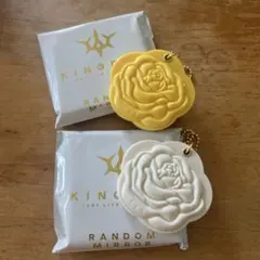 三代目JSB KINGDOMローズスライドミラー セット