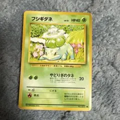 フシギダネ ポケモンカード No.001 旧裏面