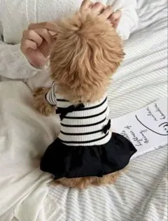 Item thumbnail for item 39672064-8e01-4584-a21a-6284871ccd8f