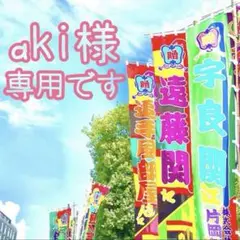 aki様 専用です✩.*˚