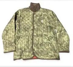 Item thumbnail for item 07cc8a4b-1d3a-48f3-b954-a35a03fa9b6e