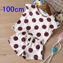 【100サイズ】ドット柄 Tシャツ パンツ セット　ボルドー