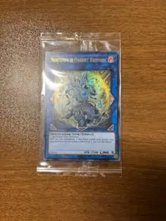 【未開封】Northosh ノリトシ　wcs 遊戯王