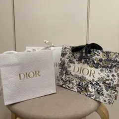 CHRISTIAN DIOR ショップ袋　3点