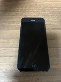 Apple iPhone 5 本体