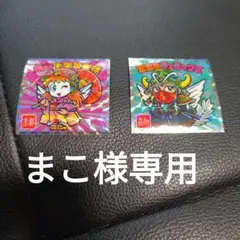 専用出品