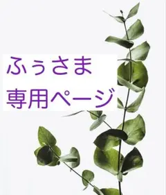 ふぅさま専用ページ
