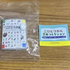 こびとづかん 豆本コレクション こびと大図鑑
