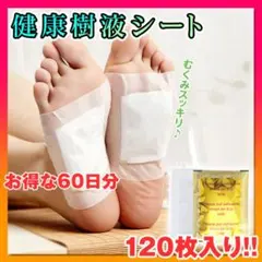 Item thumbnail for item 387527b1-eef5-480c-ab87-5883fa90932a