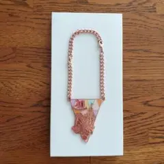 JAL ノベルティ ディズニー 東京ディズニーランド40周年記念チャーム