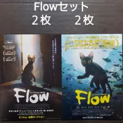映画　Flowセット　チラシ　フライヤー