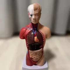 Item thumbnail for item fd654165-6d0b-4b5b-8569-ce5a61b465af