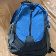 中古品＊青いディバック
