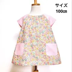 Item thumbnail for item 42e0c2fd-593c-4516-a288-5b6b8404033a