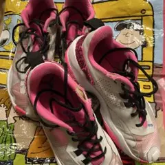 Jordan バスケットボールシューズ ホワイト/ピンク　2足セット