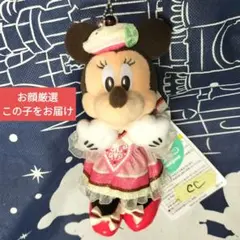 ミニー　ぬいバ　ぬいぐるみバッジ ヴァネロペのスイーツフルタイム　パルパルーザ
