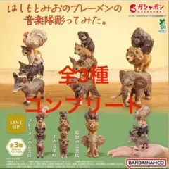 はしもとみおのブレーメンの音楽隊彫ってみた 全然3種コンプリートセット