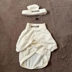 Item thumbnail for item e9a3f866-2a09-410f-80a6-079ab60ff424