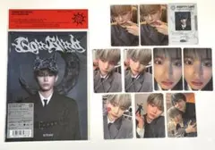 &TEAM HARUA ハルア Go in Blind月狼 トレカ まとめ売り