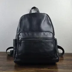 Item thumbnail for item e8b777ff-f34f-48b9-b56f-76d05dc455ab