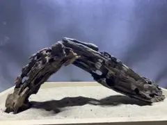 2026年最新】マシンガンウッドの人気アイテム - メルカリ