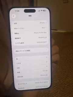 海外版 iPhone 15 Pro Max 512GB，美品，バッテリーは95%