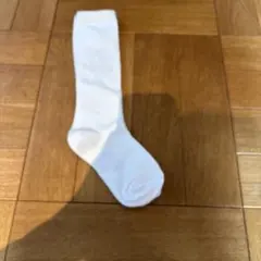 Item thumbnail for item bc093126-cbba-4500-9ecb-98241e37d476